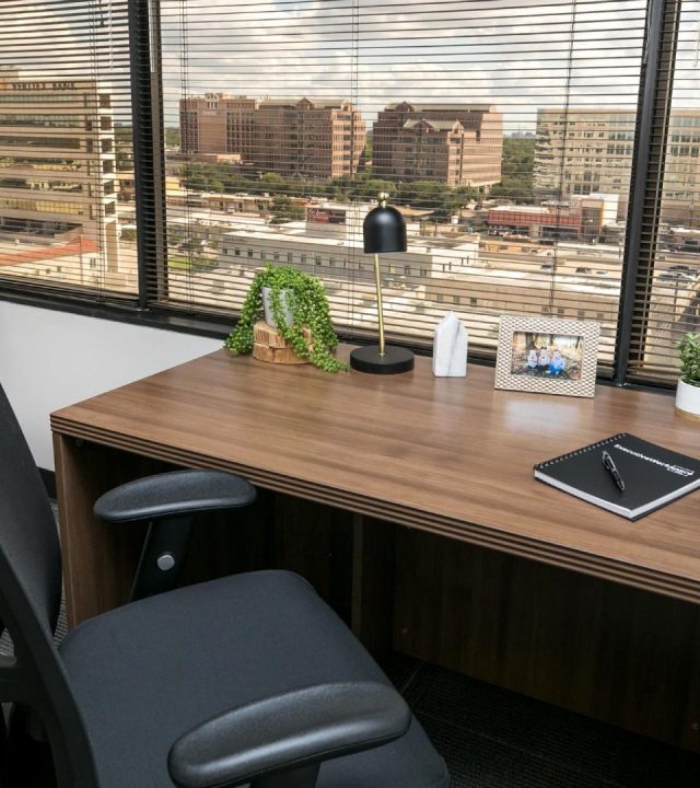 Pink Fly Executive Workspace